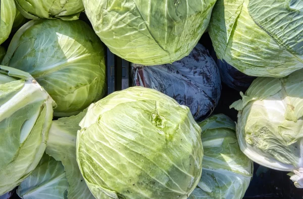 Cabbages_Tawi_Village
