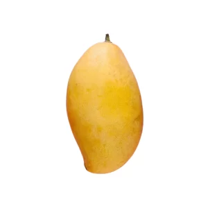 mango tawi village