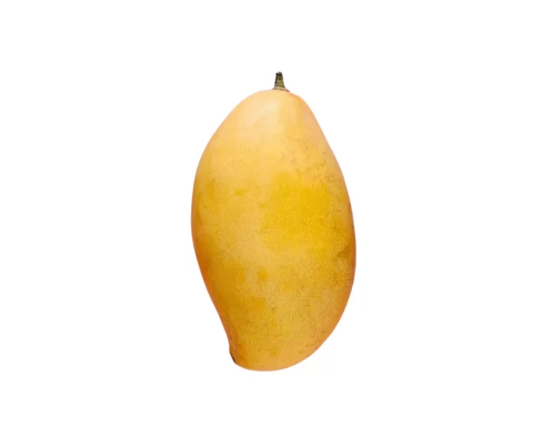mango tawi village