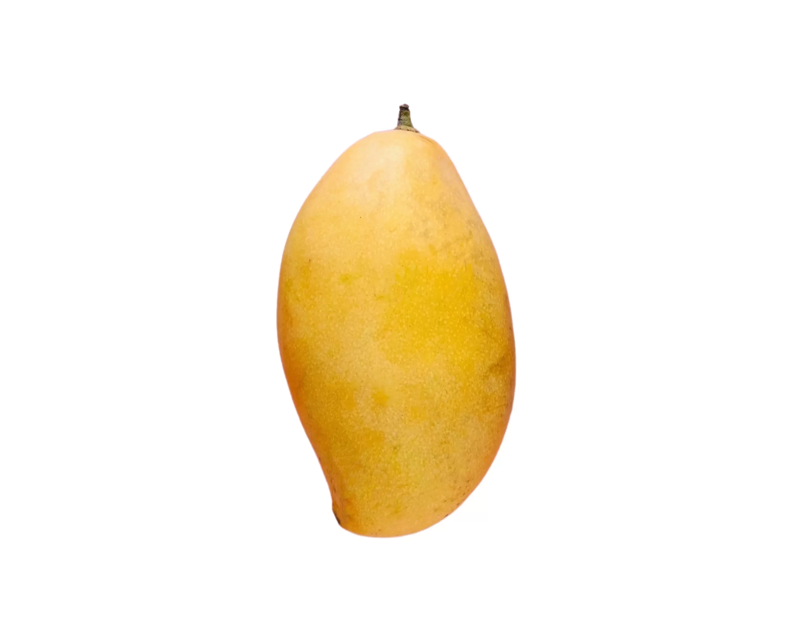 mango tawi village