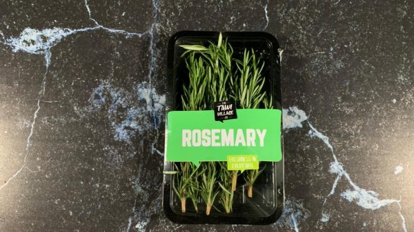 rosemary tawi village