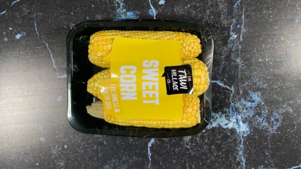 Sweet corn tawi village