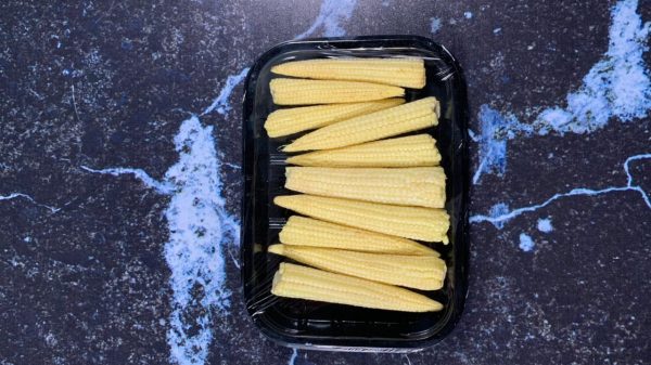 packed baby corn tawi village