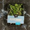 pepper mint tawi village