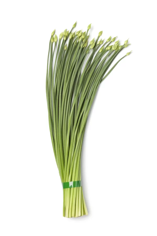 Chives_Tawi_Village