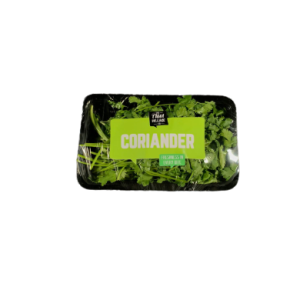 coriander tawi village