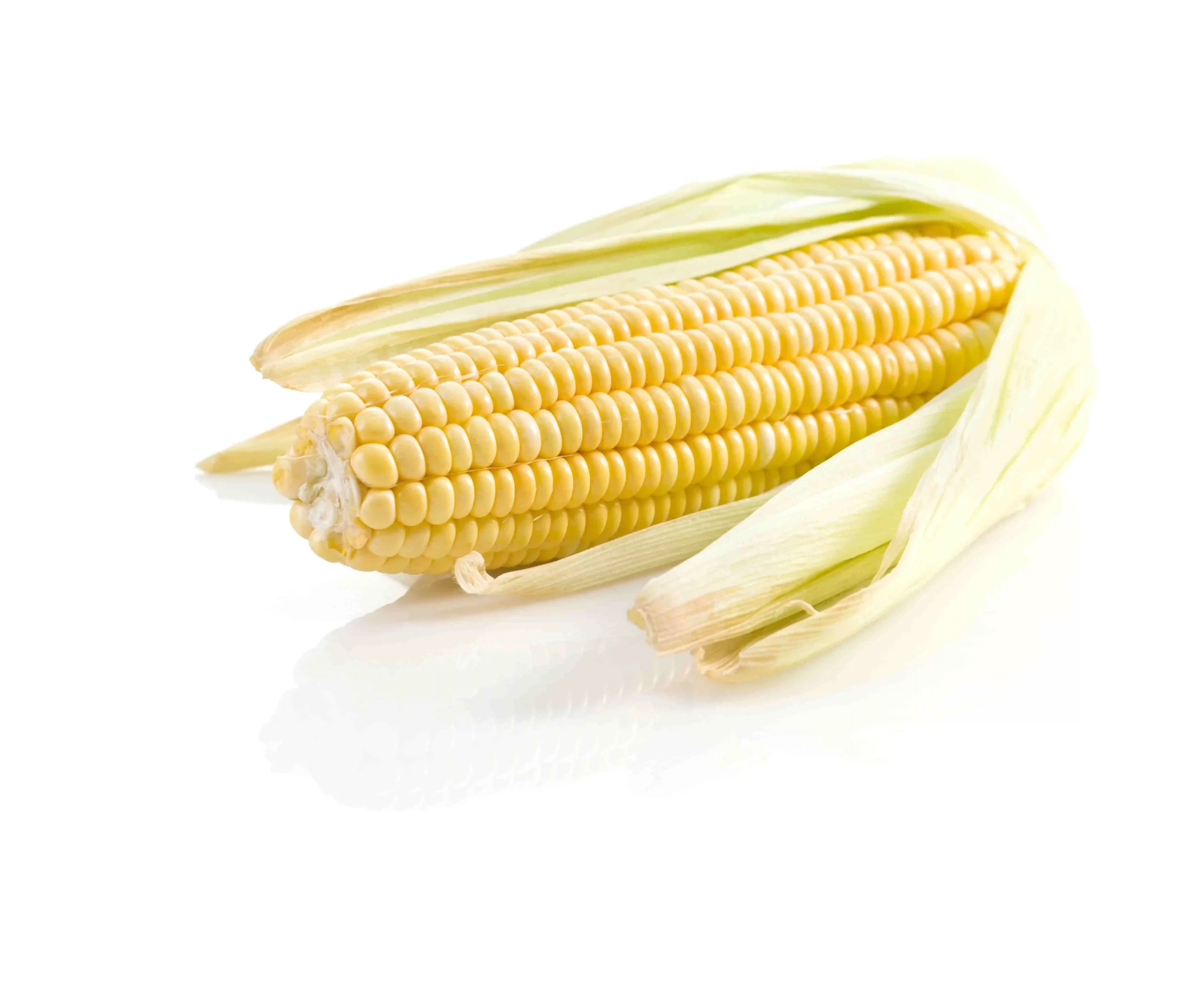 sweet corn tawi village