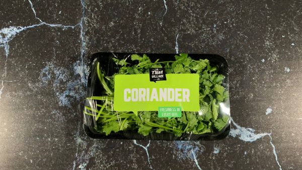 coriander tawi village