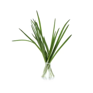 Chives_Tawi_Village