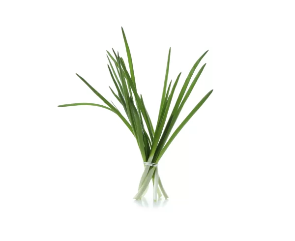 Chives_Tawi_Village