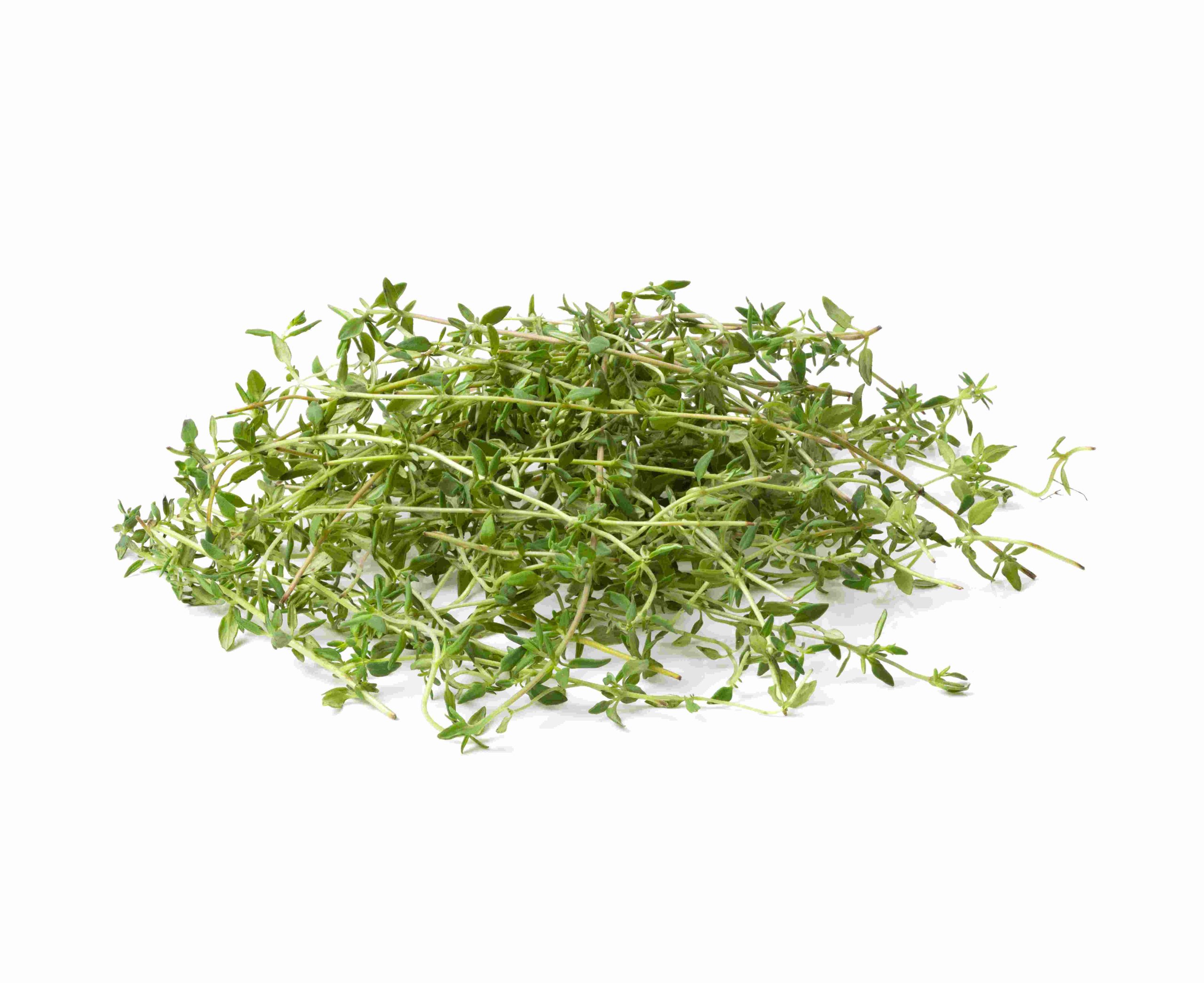 thyme tawi village