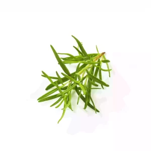 rosemary tawi village