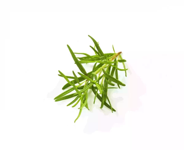 rosemary tawi village