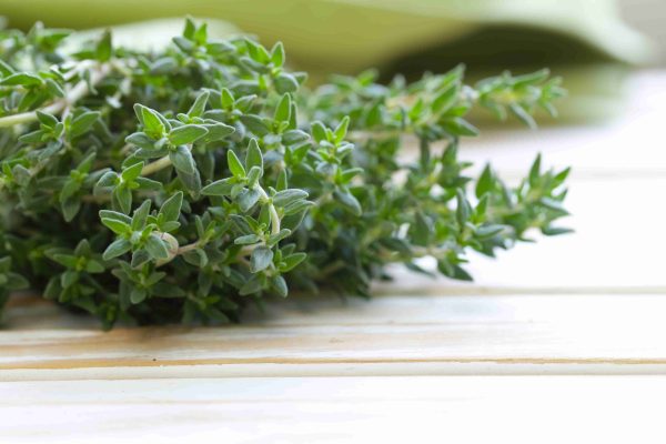 thyme tawi village