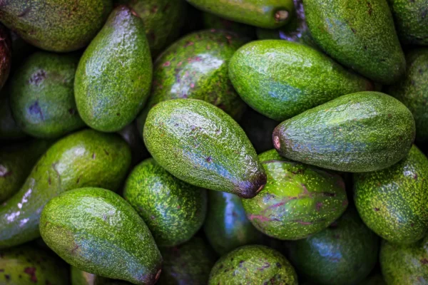 Avocadoes_Tawi_Village