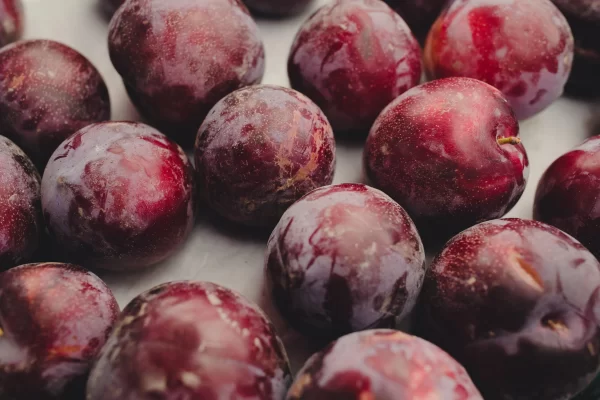 Plum Tawi Village