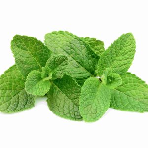 mint tawi village