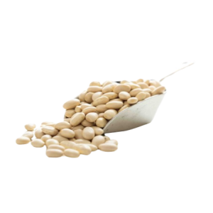 Haricot beans tawi village