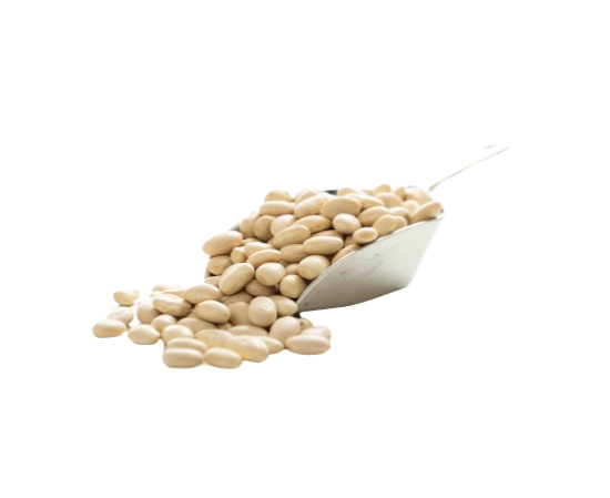Haricot beans tawi village