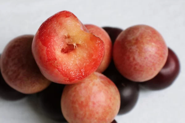 Plum Tawi Village