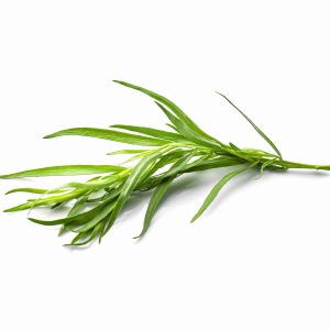 tarragon tawi village