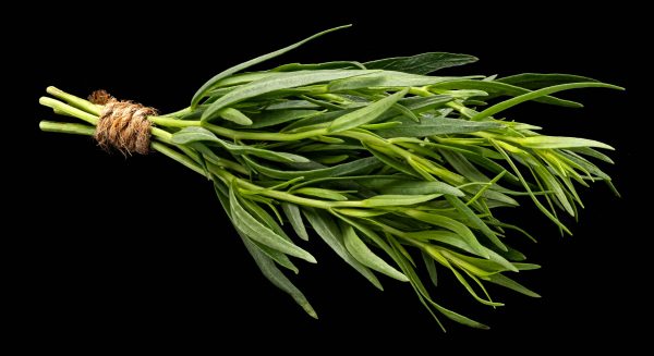 tarragon tawi village