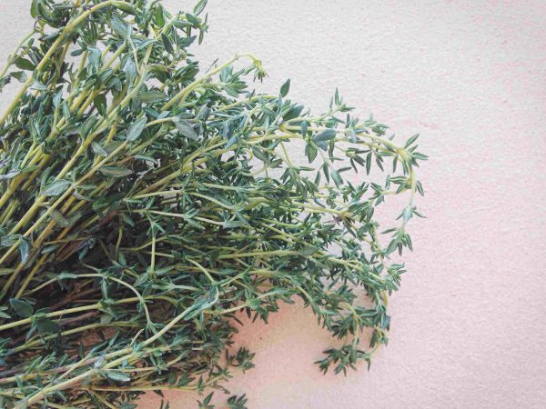 thyme tawi village