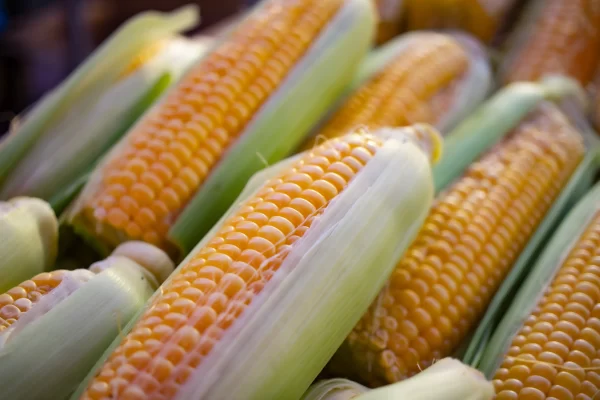 sweet corn tawi village