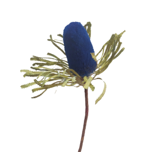 Banksia Dyed Mixed Colour Blue Tawi Village