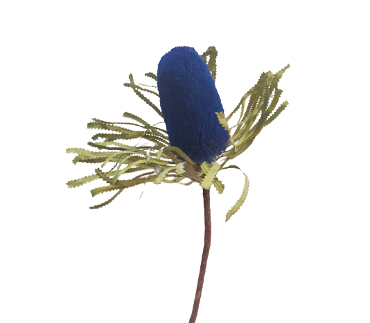 Banksia Dyed Mixed Colour Blue Tawi Village
