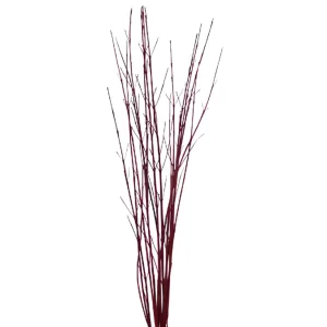 Cornus Stick Red Tawi Village