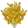Orchid Mokara Doung Porn Tawi Village