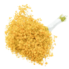 Gypsophilia Excellence Yellow Tawi Village