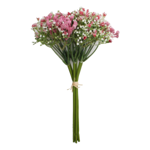 Gypsophilia Excellence Pink Tawi Village