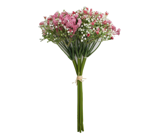 Gypsophilia Excellence Pink Tawi Village