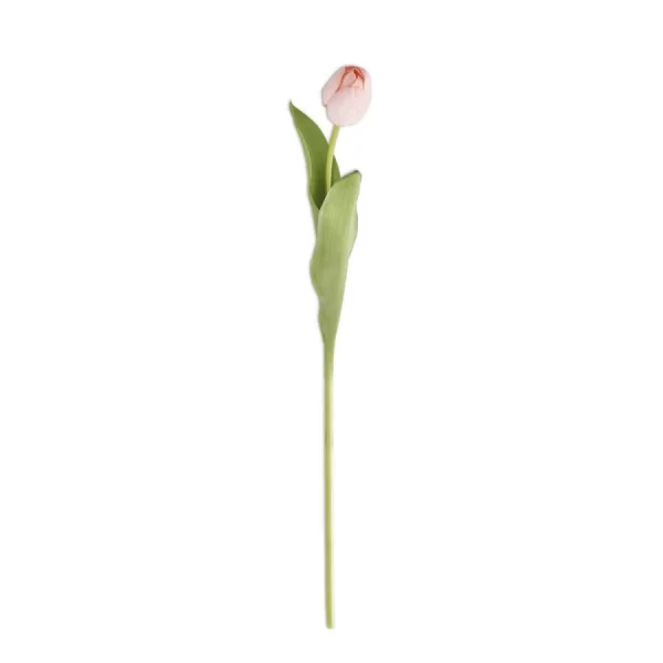 Tulip Regular Light Pink Tawi Village