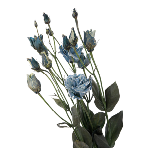 Lisianthus Dyed Mixed Colour Blue Tawi Village
