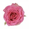 Rose Malibu Tawi Village