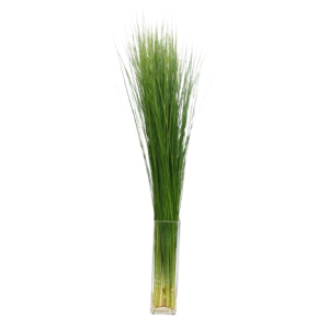 Steel Grass Tawi Village