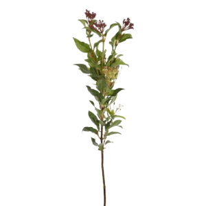 Viburnum Tinus Red Tawi Village