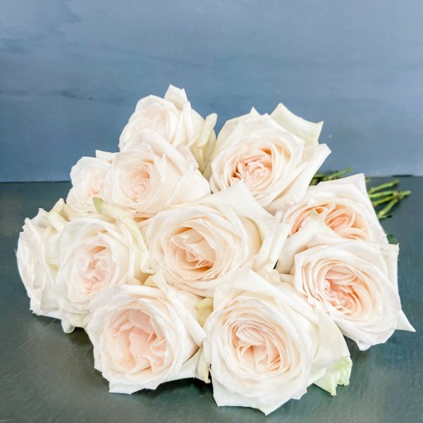 Rose Garden White Ohara Tawi Village
