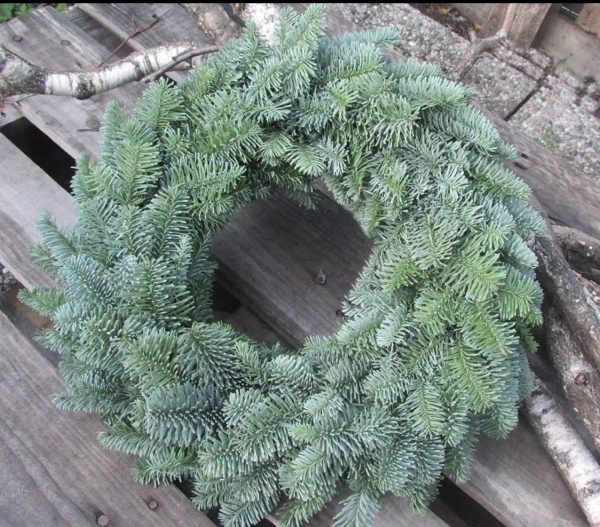 Wreath Nobilis Blue Tawi Village
