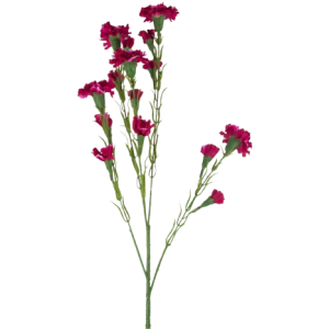 Spray Dark Pink Tawi Village