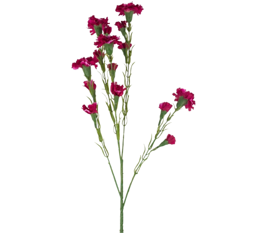 Spray Dark Pink Tawi Village