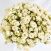 Spray Rose Salinero Tawi Village