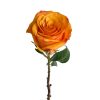Rose Tycoon Tawi Village